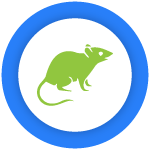Rat & Mice Control Blairgowrie